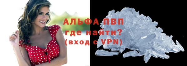 винт Абаза
