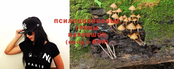винт Абаза