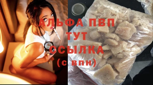 винт Абаза