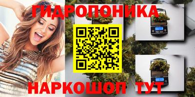 шишки Новозыбков
