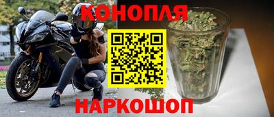 шишки Новозыбков