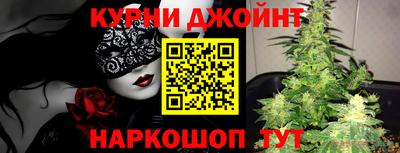 шишки Новозыбков