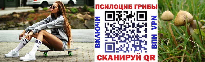 где купить наркоту Одинцово Псилоцибиновые грибы Psilocybe